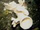 Thumbs/tn_DSechelt 023.jpg